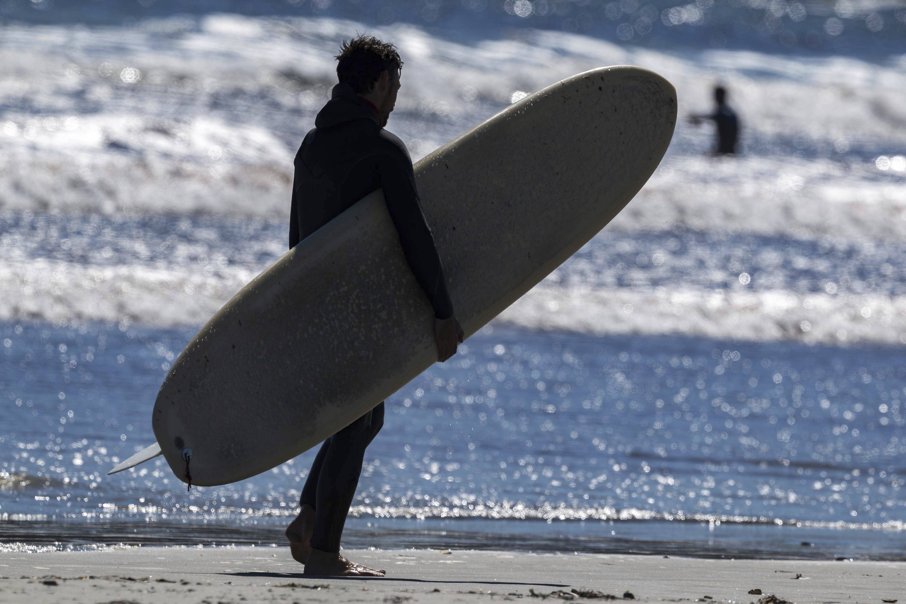 Surfer on Beach Carrying Board