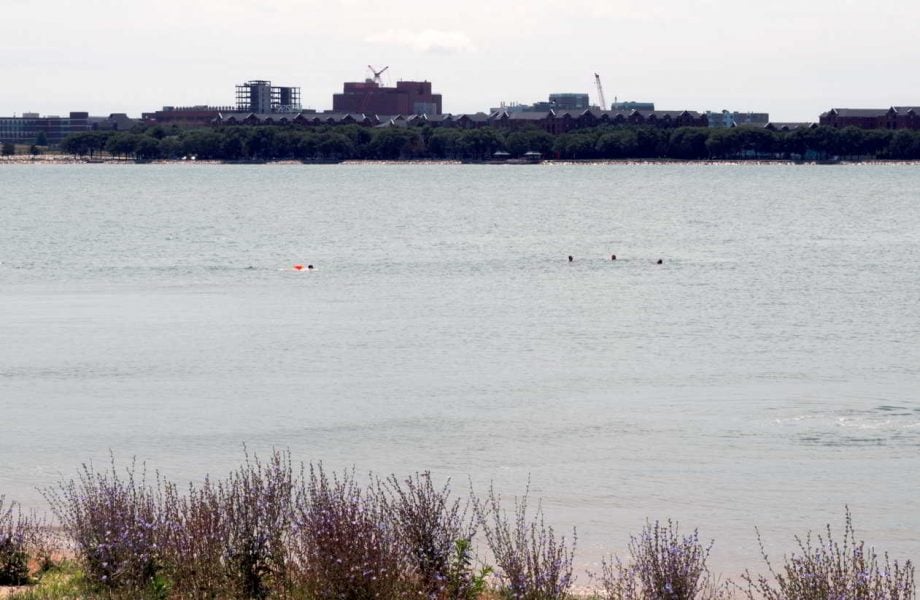 Surfrider Swim at July Beach Cleanp